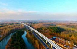 天津滨海新区深化国企改革再提速