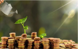 上半年224家城投公司消失“城投信仰”几经波折未破灭