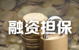 财政部：政府融资担保机构不得为政府融资平台融资提供增信