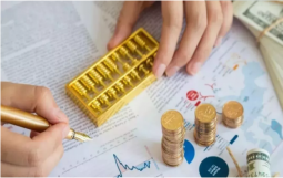 独家||城盟观点：转型尚未完成的融资平台真要没事干了！城投行业视角解读《专项债及配套融资通知》