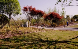 中国城盟控股集团应邀赴四川省井研县人民政府考察交流