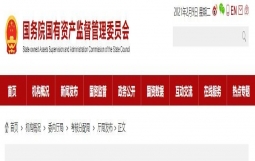 2019年度中央企业负责人薪酬披露(附披露表)