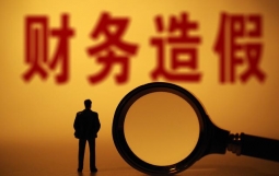 国办发文规范财务审计秩序!将对财务造假精准打击