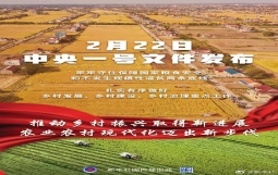 重磅!2022年中央一号文件发布