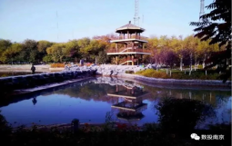 重磅！国有控股合资公司正式注册成立，中城盟携手石河子市城投集团，谱写城投类企业数字化转型新篇章