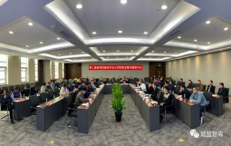 山东宁阳统筹城乡发展有限公司战略发展规划及管理咨询综合服务项目