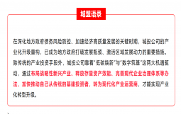 【原创】城投公司“十五五”战略发展研究专题｜叁·产业篇