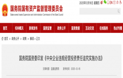 国务院国资委重磅发布！违规经营投资责任追究情形增至98种