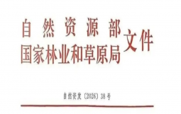 重磅！38号文：土地财政彻底终结！
