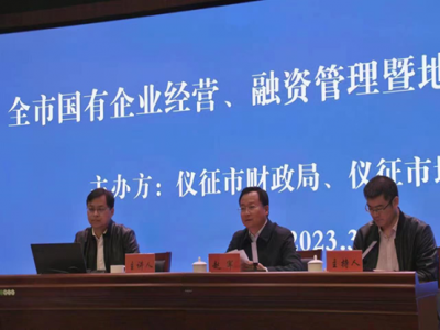 江苏仪征市“国资国企改革”与“平台公司转型升级”综合服务项目